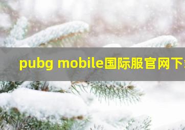 pubg mobile国际服官网下载